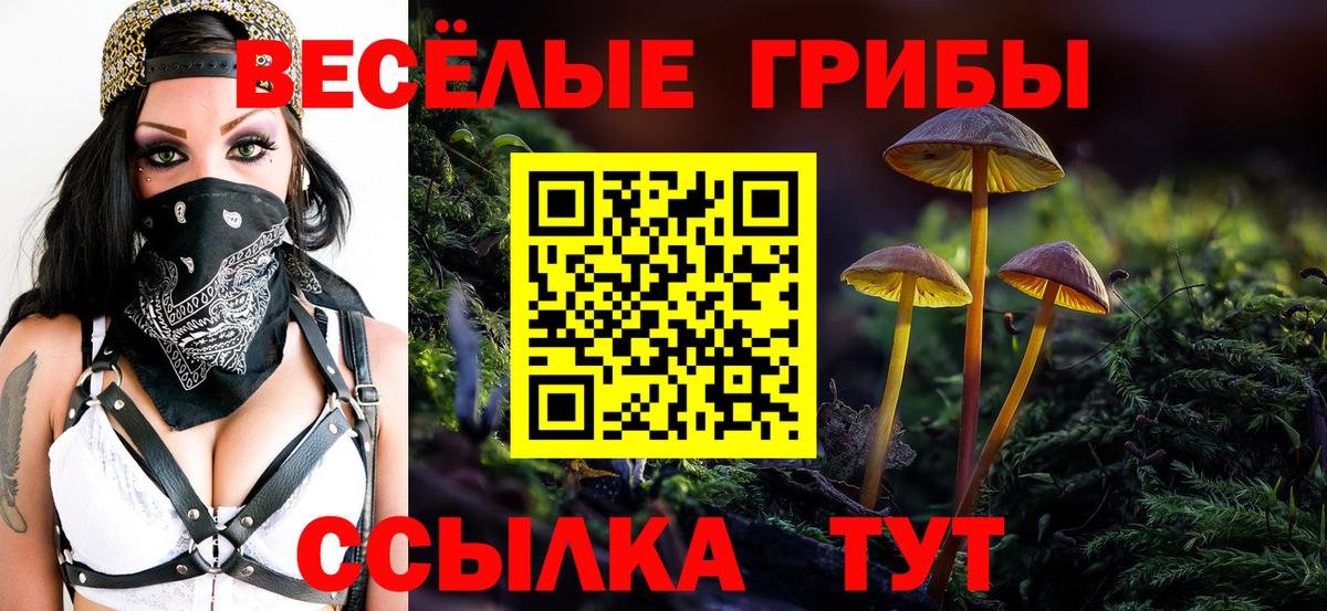 Елец  Псилоцибиновые грибы ЛСД  наркошоп  Вход с VPN 